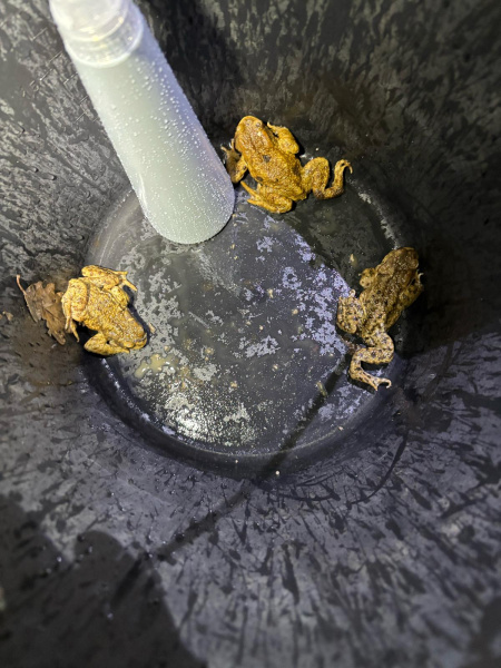 die ersten geretteten von der Straße