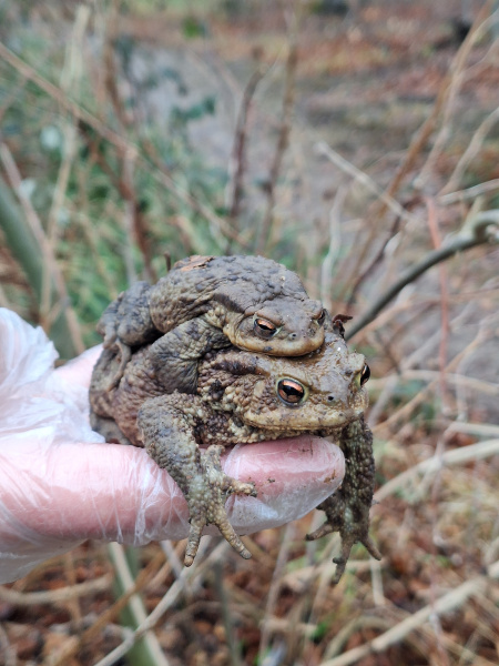 die zwei haben sich bereits gefunden