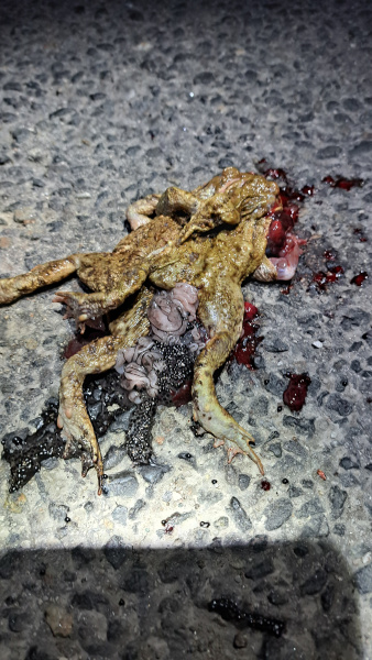 Freud und Leid so nahe beieinander