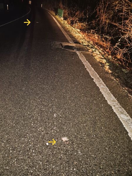 Nächtliche Wanderung in den Tod